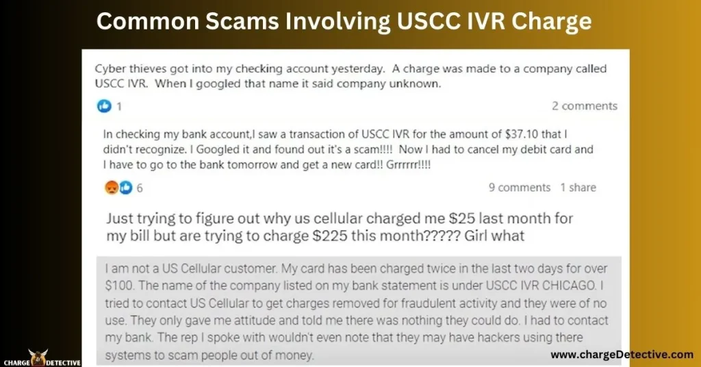 USCC IVR Charge on Bank Statement A detailed Guide